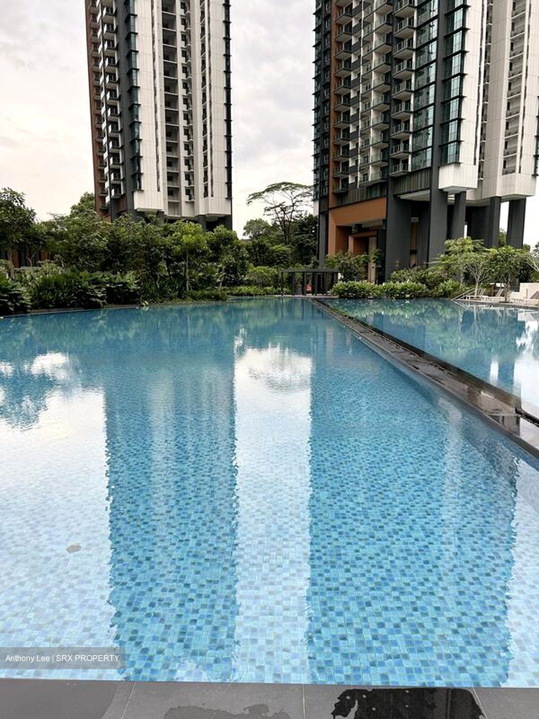 Normanton Park (D5), Apartment #483642091